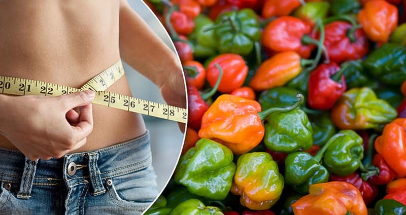 Bell Peppers in Weight Management