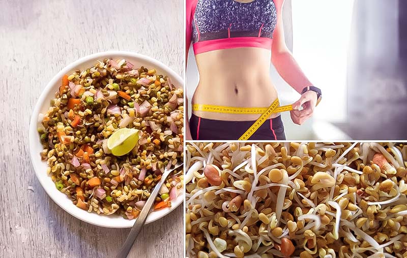How Sprouts Facilitate Weight Loss